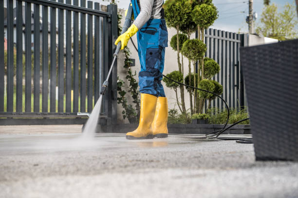 Best Rust Removal  in Meadows Place, TX